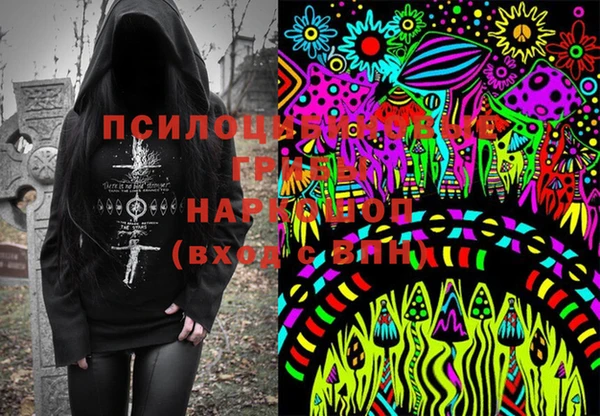 ПСИЛОЦИБИНОВЫЕ ГРИБЫ Армянск
